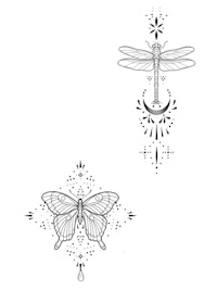 a black and white drawing of a dragonfly and a crescent moon